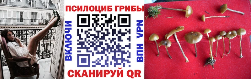 Галлюциногенные грибы прущие грибы Соликамск